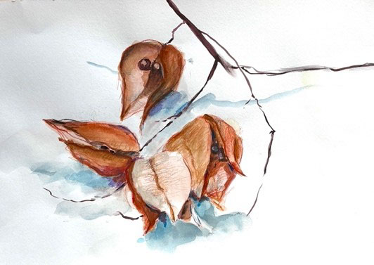 Naturstudie eines Vogels im Kunstkurs